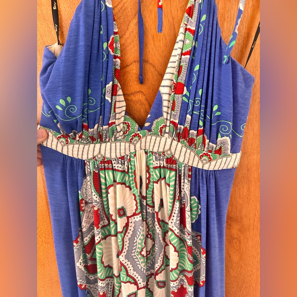 Sky Blue and Red Floral Maxi Dress